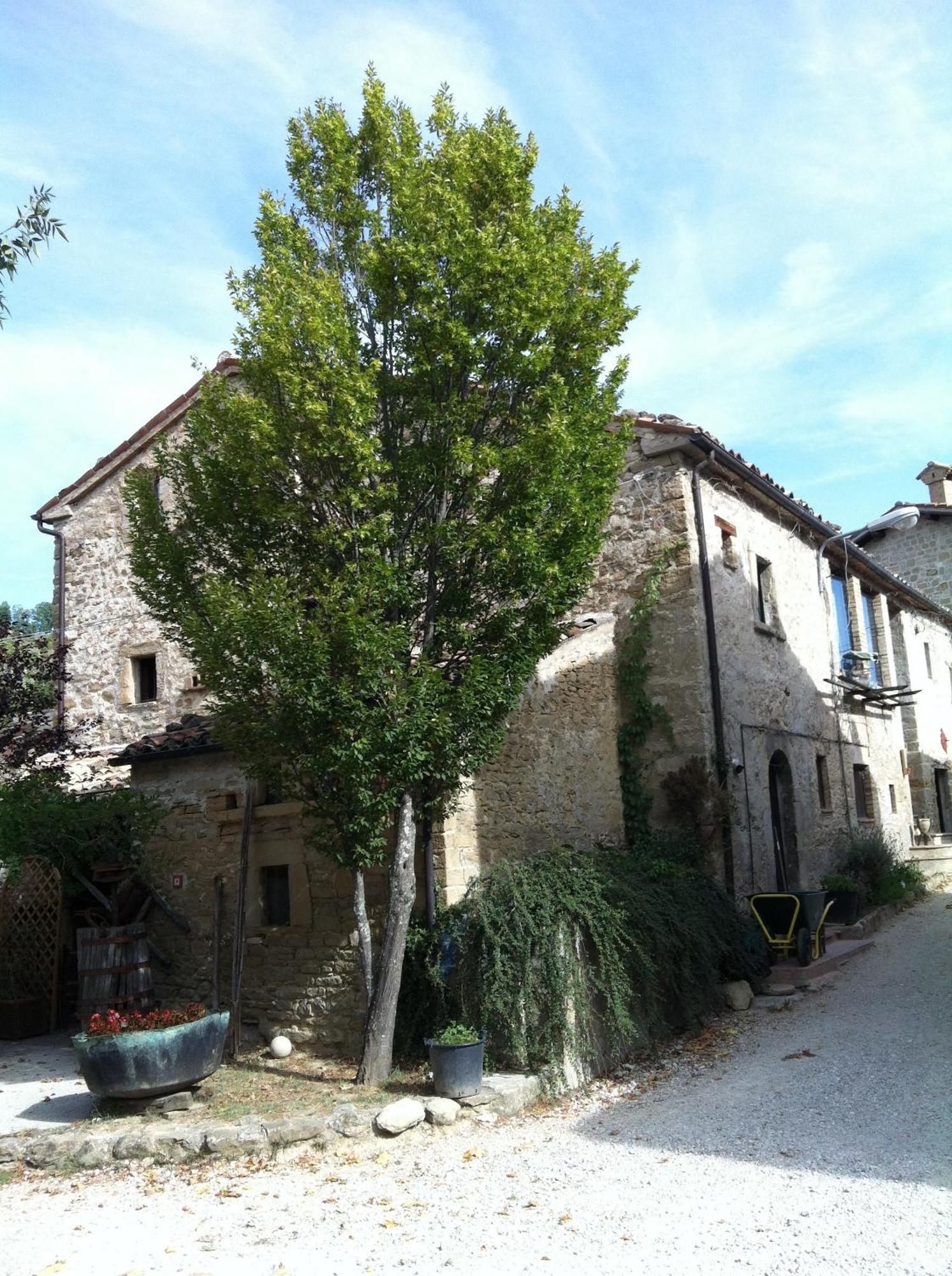 La Cittadella Dei Monti Sibillini Casa de hóspedes Montemonaco Exterior foto