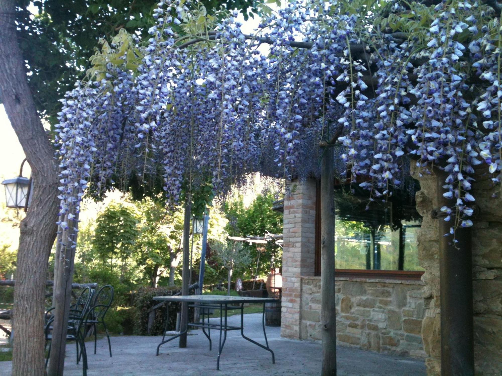 La Cittadella Dei Monti Sibillini Casa de hóspedes Montemonaco Exterior foto