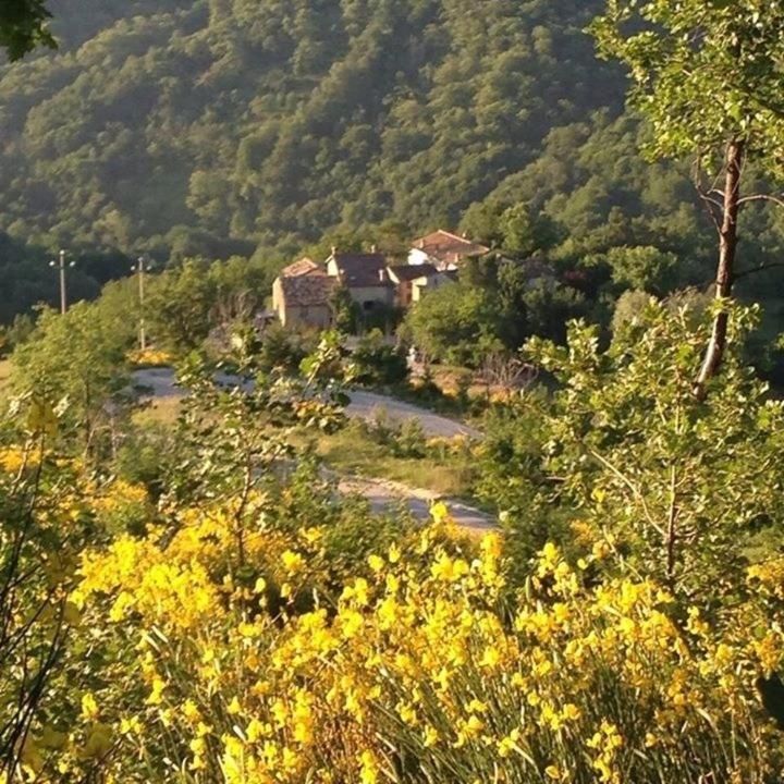 La Cittadella Dei Monti Sibillini Casa de hóspedes Montemonaco Exterior foto