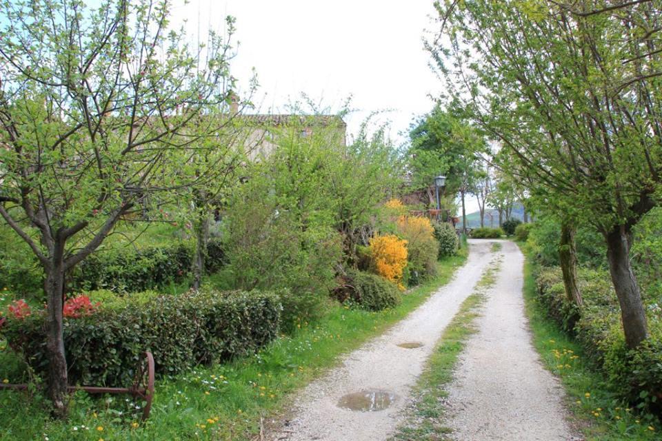 La Cittadella Dei Monti Sibillini Casa de hóspedes Montemonaco Exterior foto